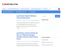 Tablet Screenshot of lumalumi.com